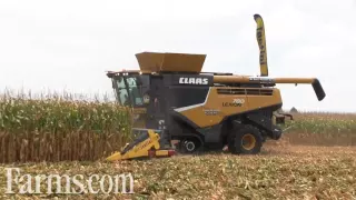 CLAAS LEXION 780 Combine in Farm Progress Show 2016 Corn Harvest Demo