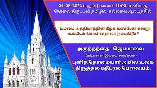 🔴 Live | Holy Mass from Tomb Chapel in Tamil (24-08-22 @ 11:00 a.m)