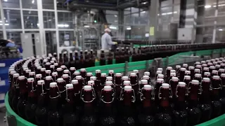 Russian brewers need hops as imports run short