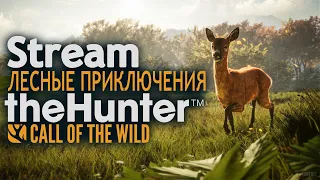 🔴theHunter: Call of the Wild🔴💢Евжен выходит на Охоту💢Лесные приключения💢