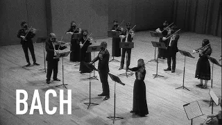 Bach Concerto for 2 Violins in D minor BWV 1043