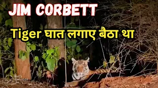 Jim Corbett Man Saved from Tiger Attack at Mohan | टाइगर घात लगाए बैठा था | Joju Wildjunket #village