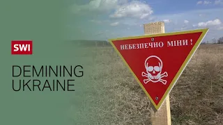 Ukraine demining: How does it work?