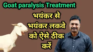 Goat Paralysis Treatment / बकरी में लकवा का इलाज / बकरी में लकवा क्यों होती है