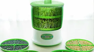 Automatic Bean Sprout Machine 2020