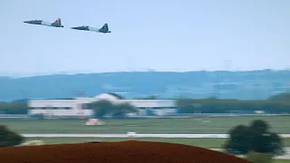 Rare Footage of Bird Crashing Into Flight Instructor's Cockpit