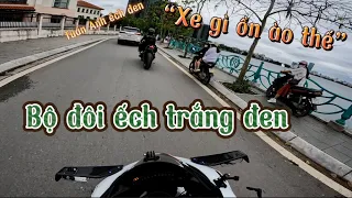 Cặp đôi Ếch Trắng Đen náo loạn Hồ Tây và Phản ứng của người đi đường/Nam Cọ/Zx10r