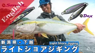 Light shore jigging for Yellowtail