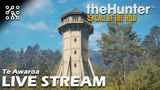 LIVE STREAM Fernando | The Hunter: Call of the wild CZ  | Lets play | Česky