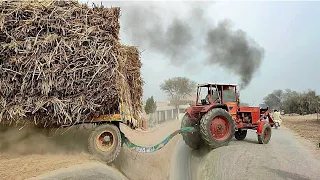 MTZ-50 Tractor Biggest Sugercane Loaded Trailer Stuck In Road || tractor video