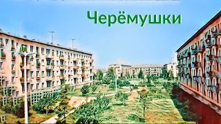 Черемушки 1968-2018: прогулка с путеводителем
