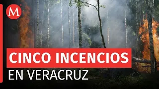 Incendios forestales causan estragos en Veracruz; evacúan a más de 200 personas