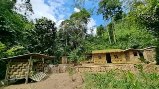 Start Building a Chicken Coop In The Forest To Raise Chicken ...p1