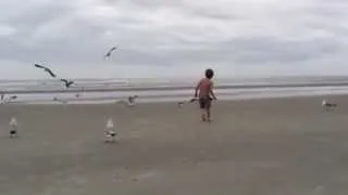 Kids feeding the Seagulls, March 13, 2013