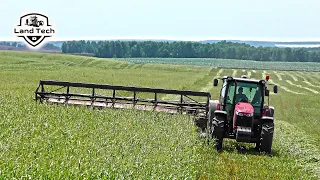 Трактор Massey Ferguson 6713 работает с прицепной жаткой ЖВЗ-7 ПОЛЕСЬЕ. Суданская трава на сенаж.