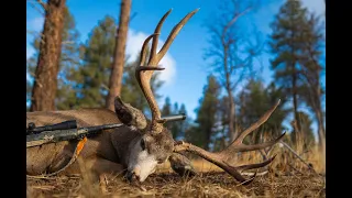 Green Berets and Giant Bucks - AZ Strip Mule Deer with John Wayne Walding