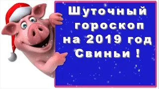 Шуточный гороскоп на 2019 год Свиньи !
