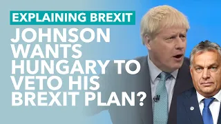 Does Johnson Want Hungary to Block an Extension - Brexit Explained