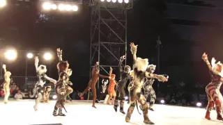 YOSAKOI ソーラン 2015　劇団四季　Cats