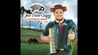 O GAITEIRO DO PARANÁ - João Pedro Cluzeni (CD COMPLETO)
