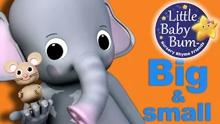 Big and Small Song | Nursery Rhymes for Babies by LittleBabyBum - ABCs and 123s