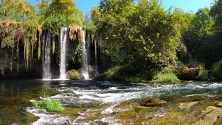 Relaxe na Cachoeira - Sons da Natureza para Meditar