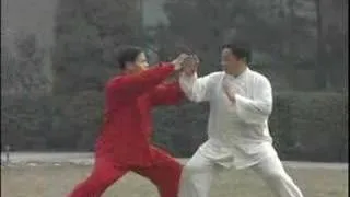 tai chi push hands