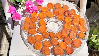 Как приготовить курагу без косточек? Сушеные Абрикосв! /Preparation of Tumcuz dried apricots