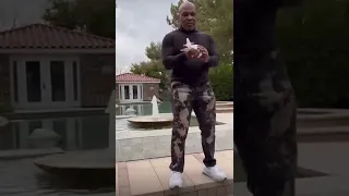 Mike Tyson Loves His Pigeons 🐦 #shorts #miketyson