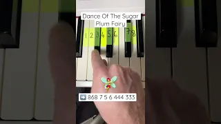 How to play Dance Of The Sugar Plum Fairy (Tchaikovsky) on piano