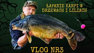 Jak łowić w drzewach - VLOG #3