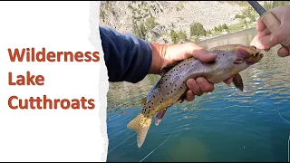 Alpine Lake Cutts with the Hellbender Tenkara rod