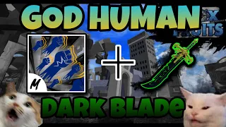 GOD HUMAN + DARK BLADE | BLOXFRUITS | 300 SUB SPECIAL! 💰💰