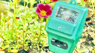 Замер кислотности почвы | Влага Свет pH - метр | распаковка и миниобзор