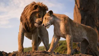 The Lion King (2019) - Circle Of Life Reprise (Norwegian) 🇳🇴 [1080p]