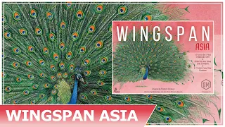 New Wingspan Asia Details Confirmed By Stonemaier Games