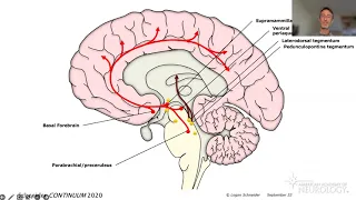 Virtual Resident Education Lecture Series: Sleep/Wake Physiology & Pharmacology With Dr. Schneider