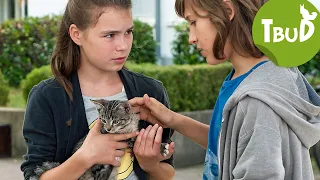 Ausreißer (Folge 72) | Tiere bis unters Dach | SWR Plus