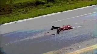 Cachorro atropelado na rodovia.