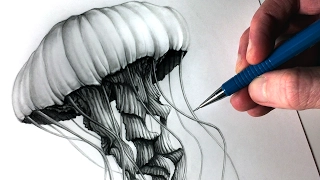 How to Draw a Jellyfish