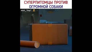 Как думаете, кто выйдет победителем из этой схватки 😂 #shorts #суперпитомцы