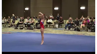 Level 3 Floor Routine 2021-2029