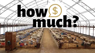 How much did it cost to build our sheep barn?  Vlog 220