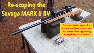 Savage MK II BV 22LR gets a New Scope