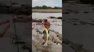 Biggest snook ever on video!! Well done Insta - AndresDiazG - catch of a lifetime!! #snook #fishing