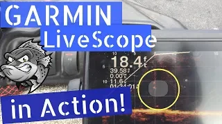 Garmin Panoptix LiveScope - #Garmin #Panoptix #Livescope in action!