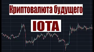 Криптовалюты будущего - IOTA. Стоит ли инвестировать. Как работает IOTA и сколько можно заработать
