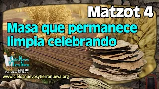 Matzot 4 Masa que permanece limpia celebrando