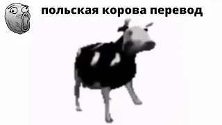 польская корова (перевод на русский)