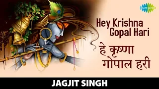 Hey Krishna Gopal Hari | हे  कृष्णा गोपाल हरी | Jagjit Singh | New Bhajan And Kirtan 2022